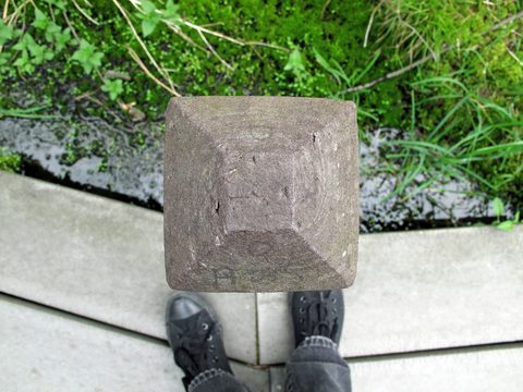 platform series
